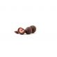 premium Choco fruits Ganze Erdbeeren in dunkler Schokolade
